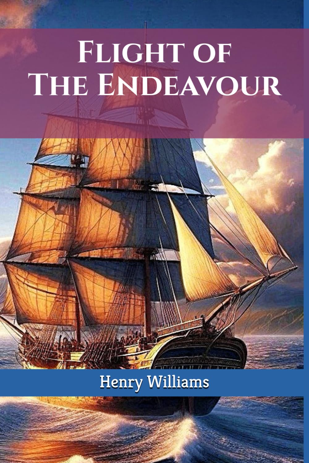 Flight of The Endeavour