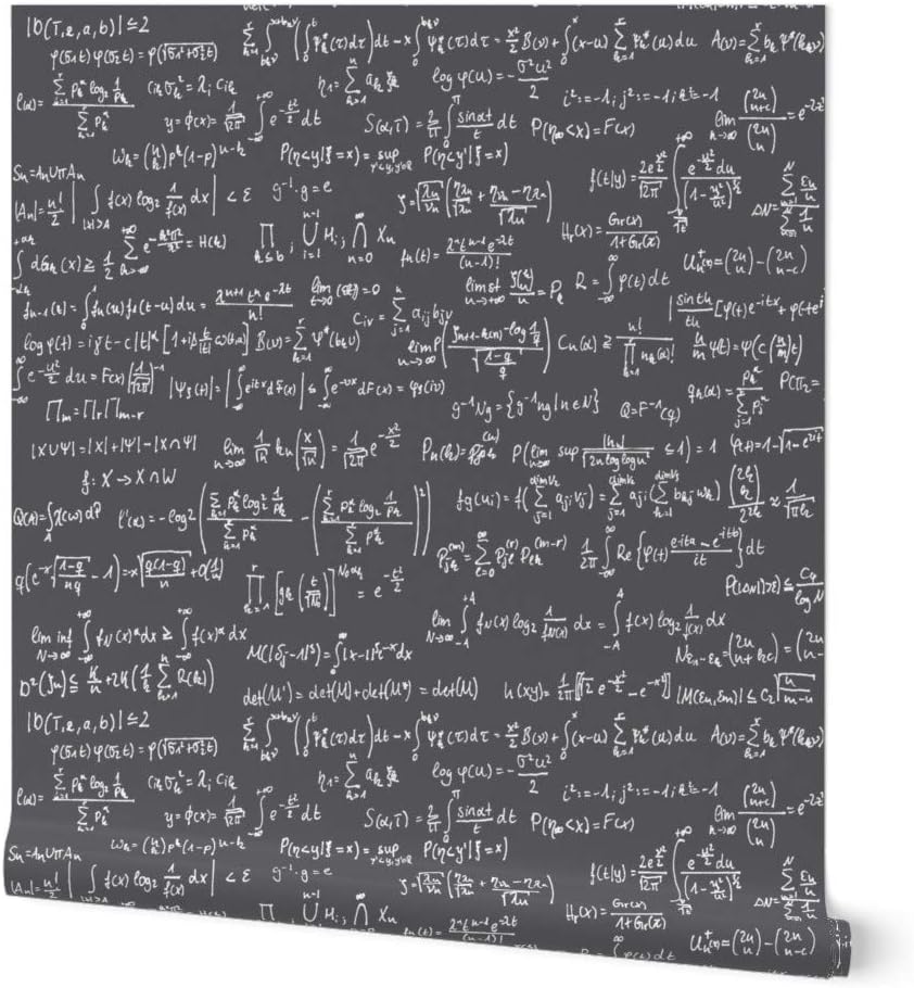Peel & Stick Wallpaper 3ft x 2ft - Math Notes Charcoal Large Dark Gray ...