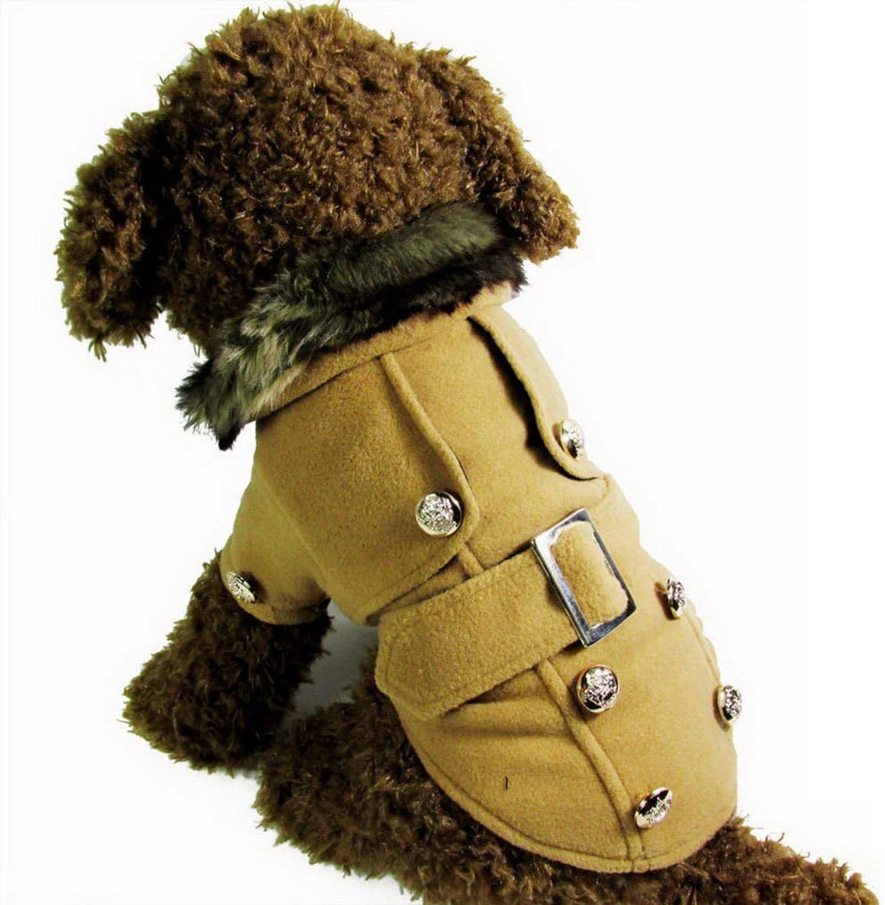 collare petto occidentale per cavallo