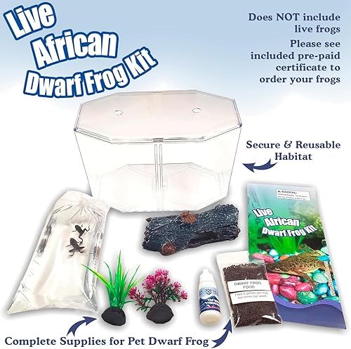 Miniatura 2 de Nature Gift Store Kit de iniciación de rana enana africana - Incluye certificado para 2 ranas vivas - Pequeño acuario, comida, instrucciones