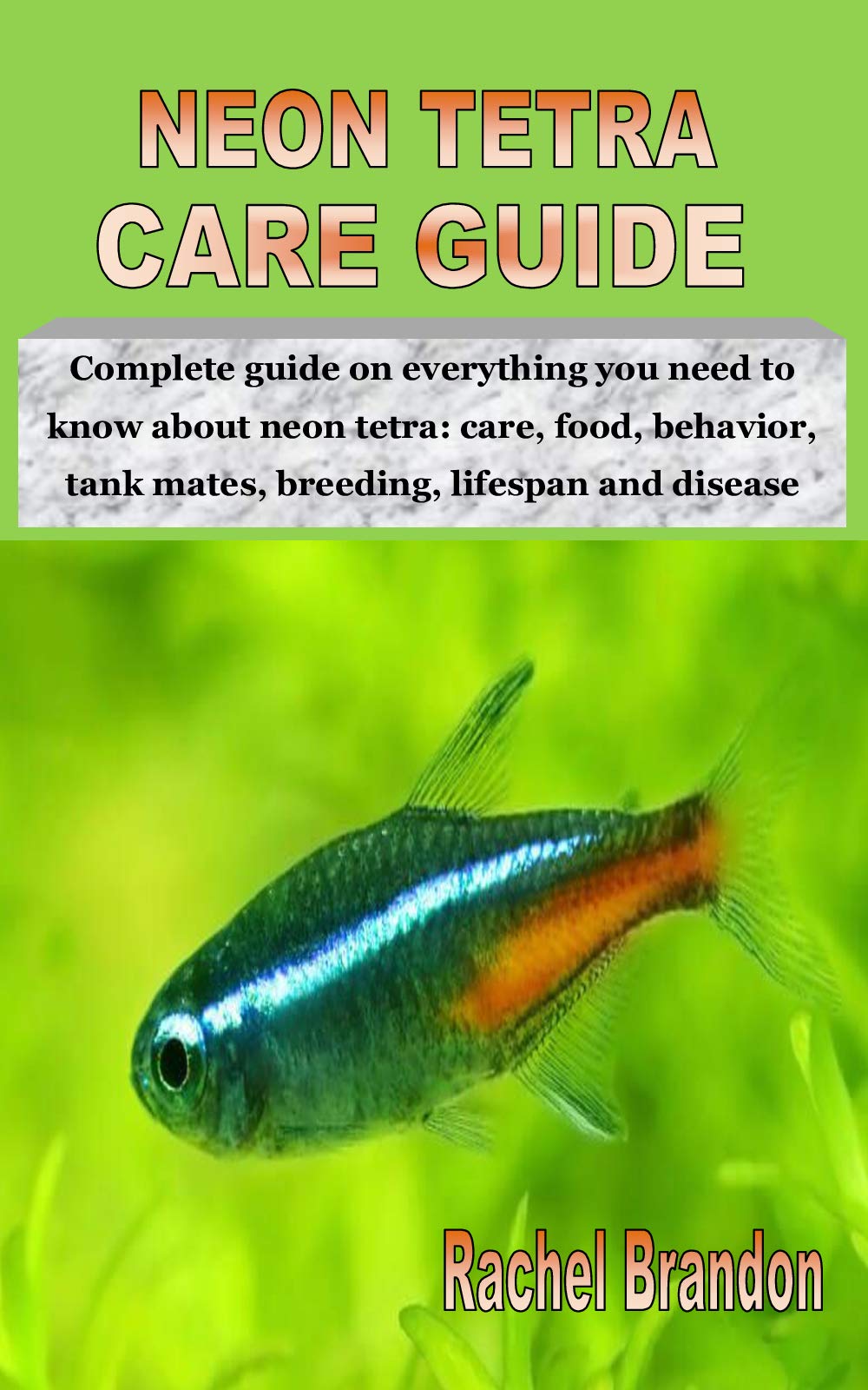 Buy NEON TETRA CARE GUIDE Complete guide on everything you need to