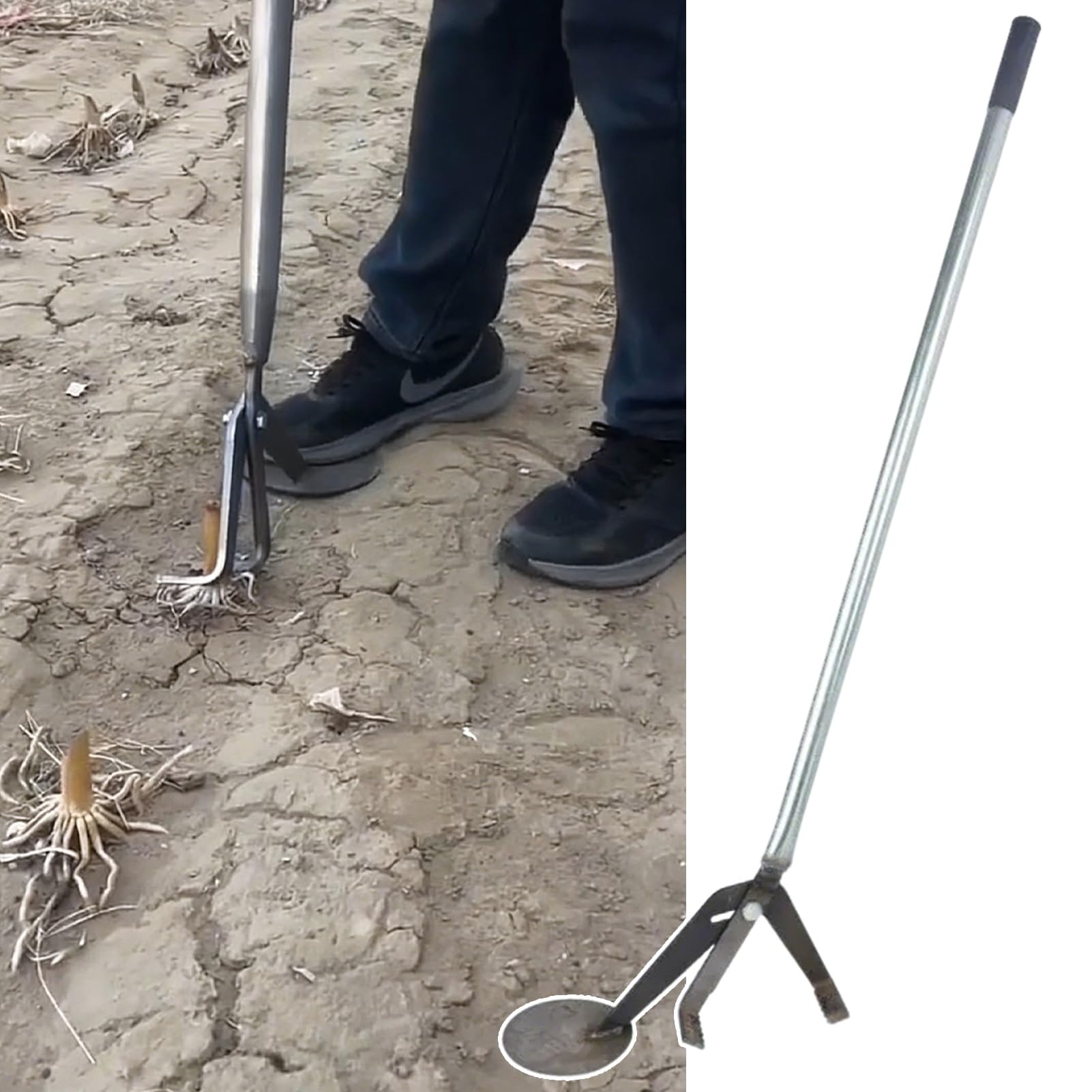Strumento per la rimozione di radici per impieghi gravosi, estraitore di erbacce per steli di mais/cespugli, estrattore che facilita il lavoro per la cura dei prati agricoli