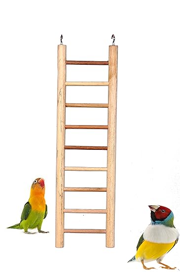 AVI CRAVE Large Wooden Ladder for Birds with Metal Hook 9 Steps for Cocktail Budgies,Finches,Conures and Other Birds