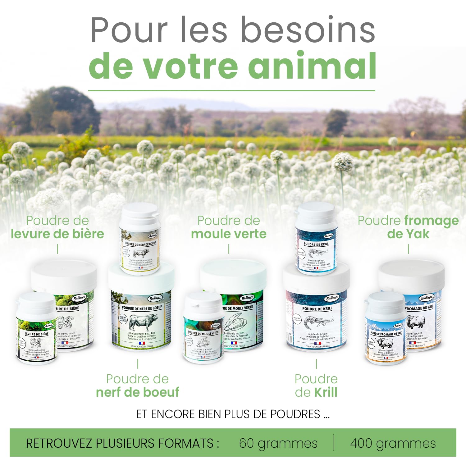 BUBIMEX - Poudre de Moules Vertes - Bien-Être Articulaire Chien & Chat - Formule 100% Naturelle - 400 g