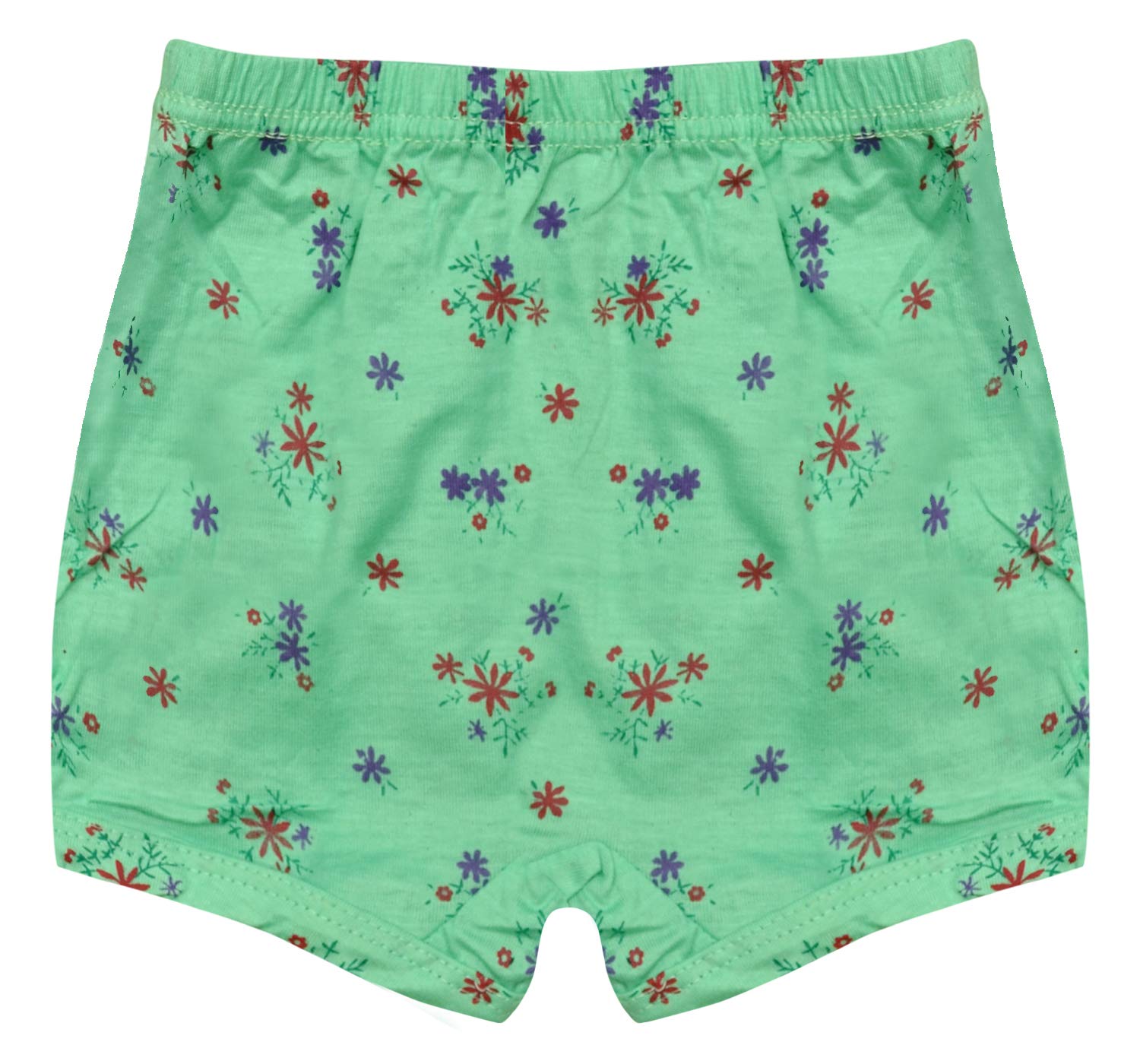 Everking Unisex Child Cotton Briefs (Pack of 12) (EKK-JETY-UMA-IE-12_Multicolour_5 Years-6 Years) 2