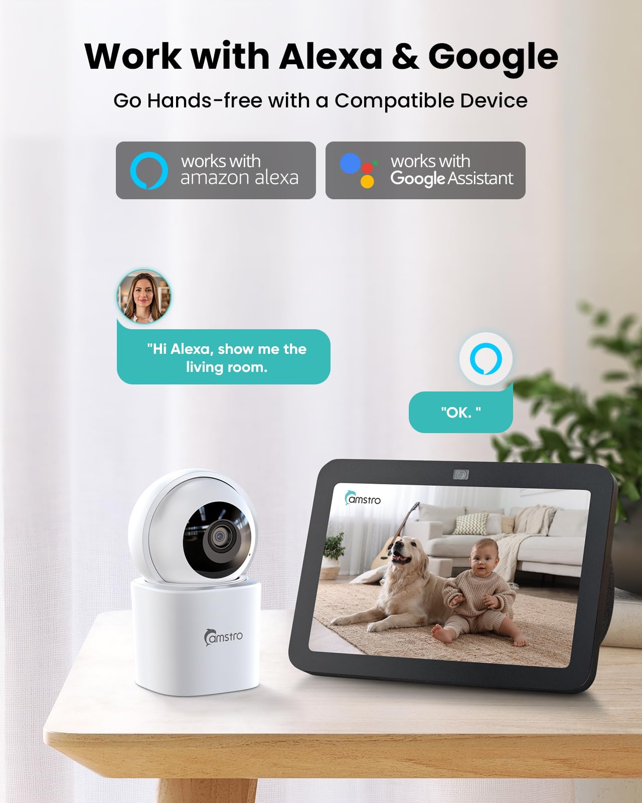 https://m.media-amazon.com/images/I/71KVljQnn7L.jpg