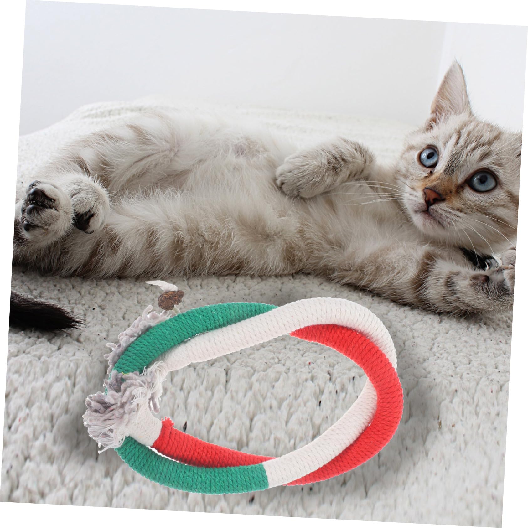 SUPVOX 15pièces Jouets Corde à Mâcher pour Chat avec Herbe à Chat Stimule Instinct De Chasse