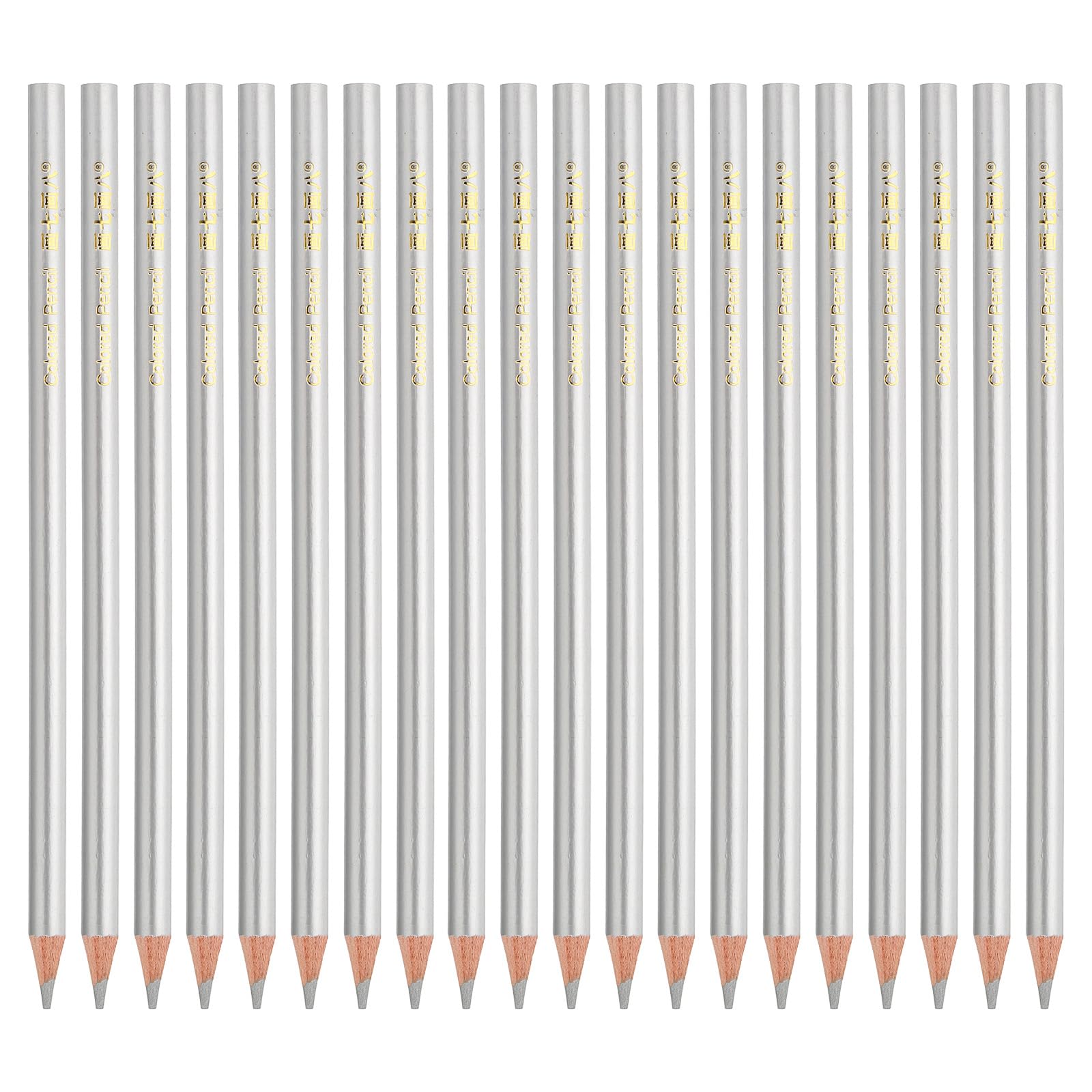 PATIKIL Silver Colored Pencils Set,20 Pcs Oil Color Pencils Wooden Coloring Drawing Pencil for Artists Art Painting