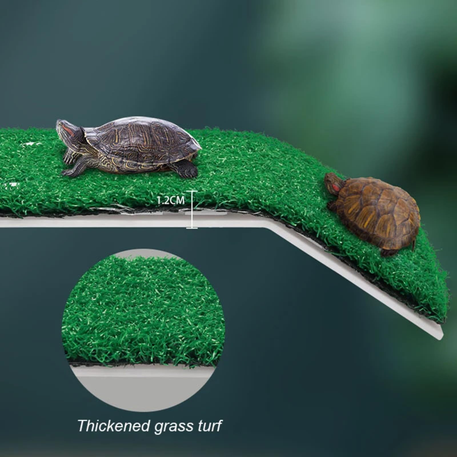 Turtle Basking Platform - Rampa de césped artificial flotante | Accesorio de terrario para reptiles y anfibios | PP no tóxico con ventosas fuertes S/M/L