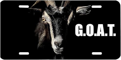 Miniatura 6 de Bandera de Puerto Rico con calavera decorativa para automóvil sublimada, placa de matrícula sublimada, 0.025 pulgadas (0.026 in) de grosor 6 x 12