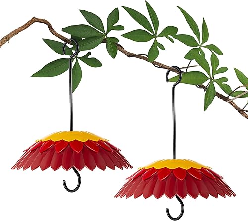 SamnFat Cúpula colgante para comederos de colibrí para jardín, comedero de pájaros silvestres con kit de protección contra la intemperie, 8 pulgadas