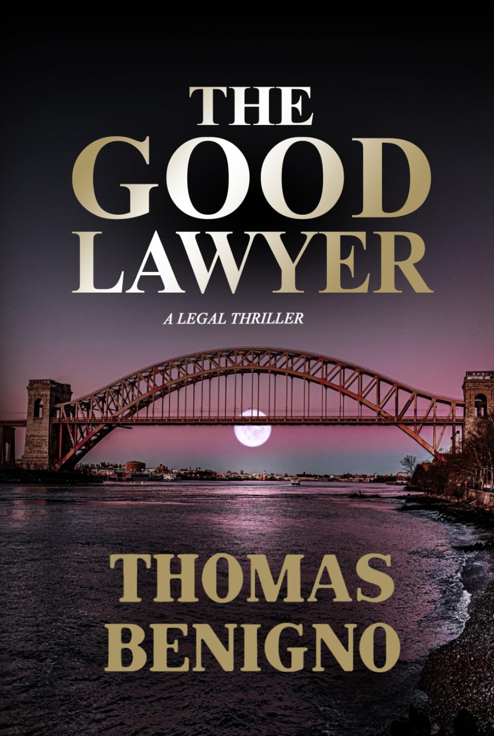 The Good Lawyer: A Legal Thriller Inspired By A True Story (The Good Lawyer Series)