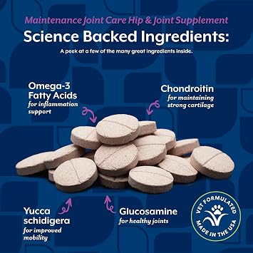NaturVet Glucosamine DS Level 1 Maintenance Care Hip & Joint Support Pet Supplement for Dogs & Cats Glucosamine, Chondroitin, Antioxidants Supports Cartilage, Joint Function 60 Ct.