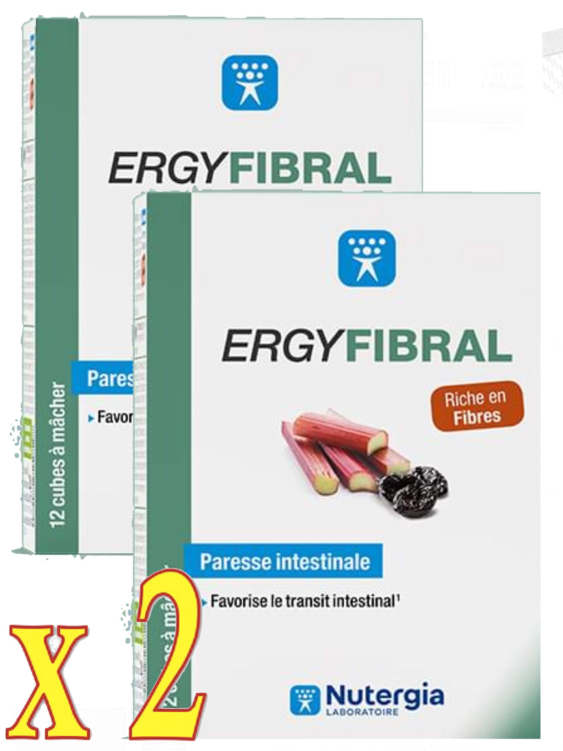 ERGYFIBRAL Cubes à mâcher à base de fruits et plantes riches en fibres et magnésium.- Nutergia - Lot de 2 Boites de 12 Cubes (2)