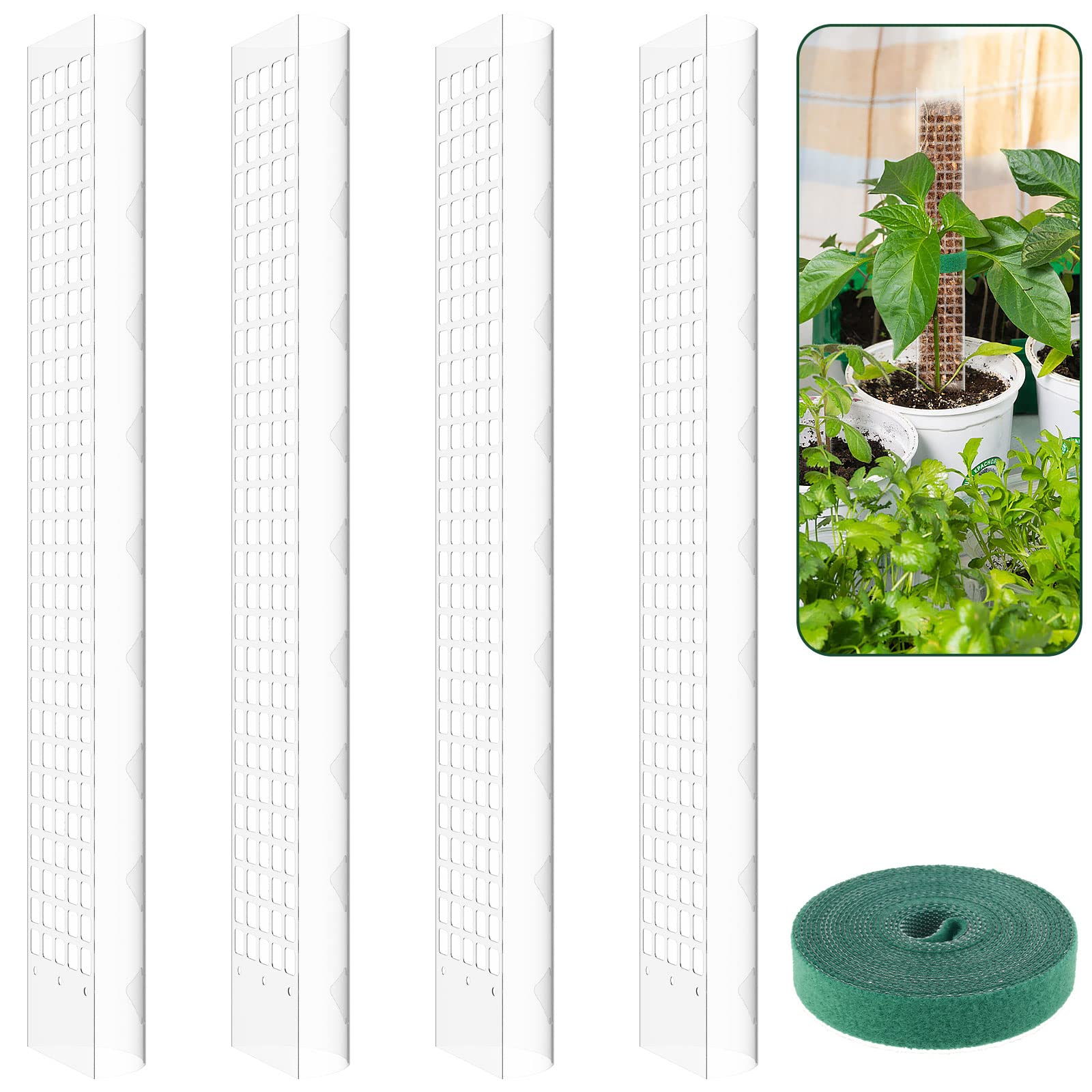 Amazon.com : 24 Inch Moss Pole for Botany, Reusable Semi