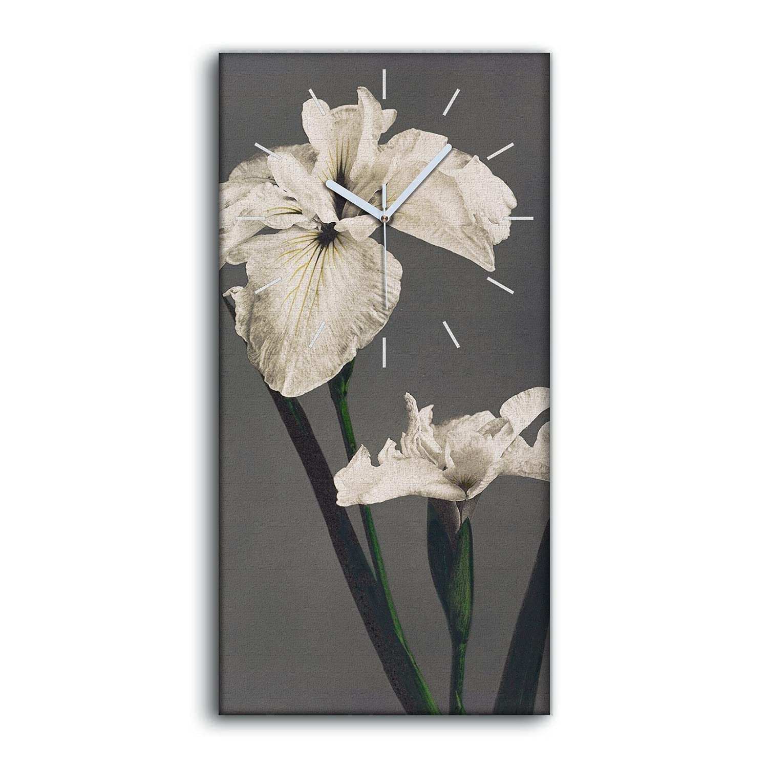 Horloge sur Toile Grand Format Image Art Mural Silencieux Plantes Fleurs