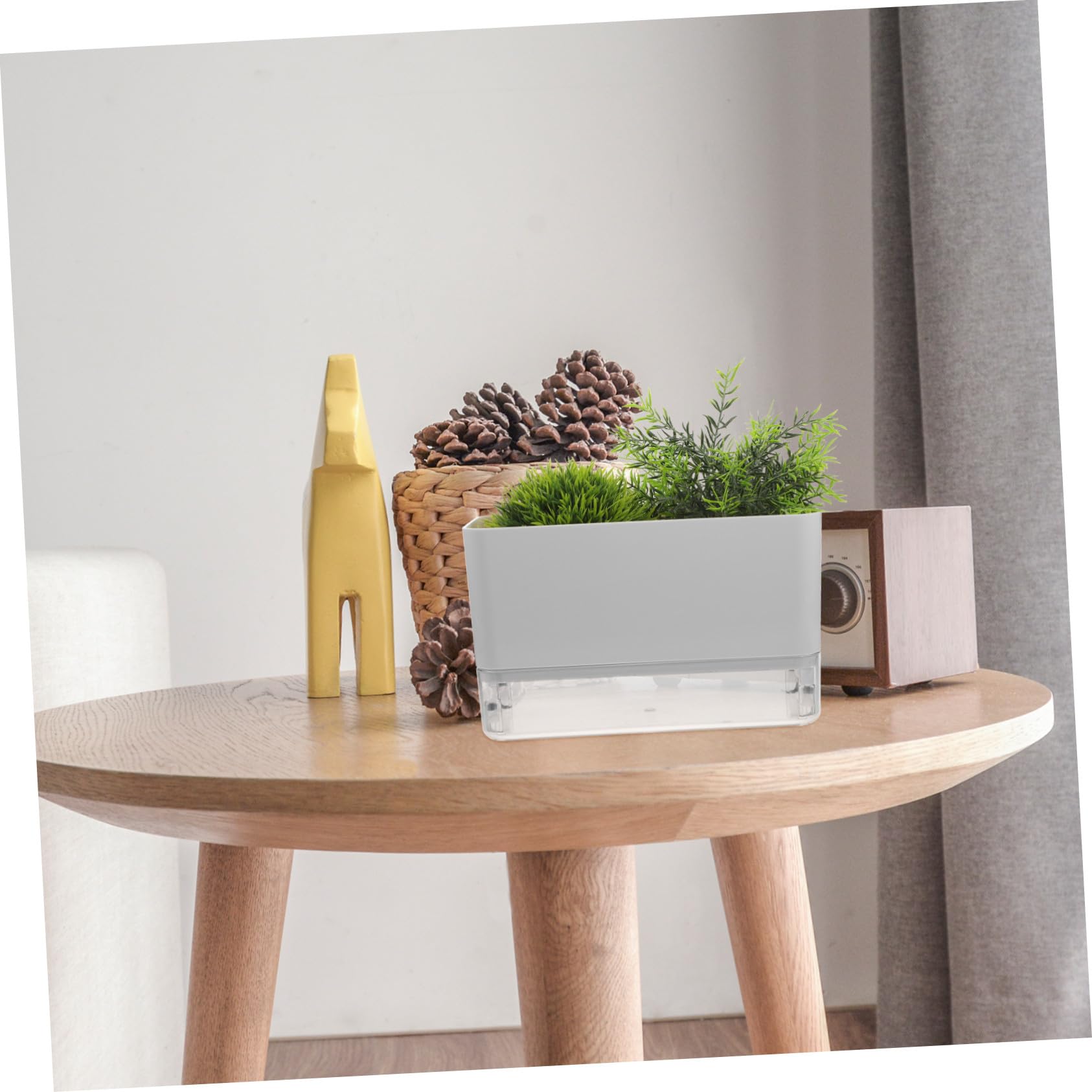 2 Stück Selbstbewässernde Orchideentöpfe Transparent Großformat mit Baumwollseil Bewässerungssystem für Zimmerpflanzen und Sukkulenten
