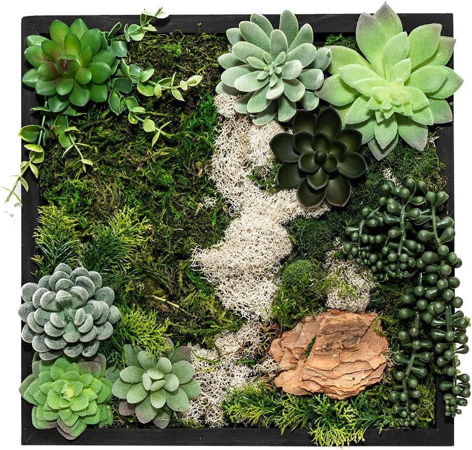 Adults & Crafts Moss Wall Kit