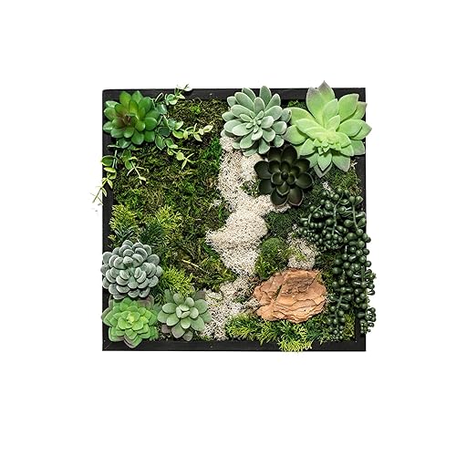 Adults & Crafts Moss Wall Kit
