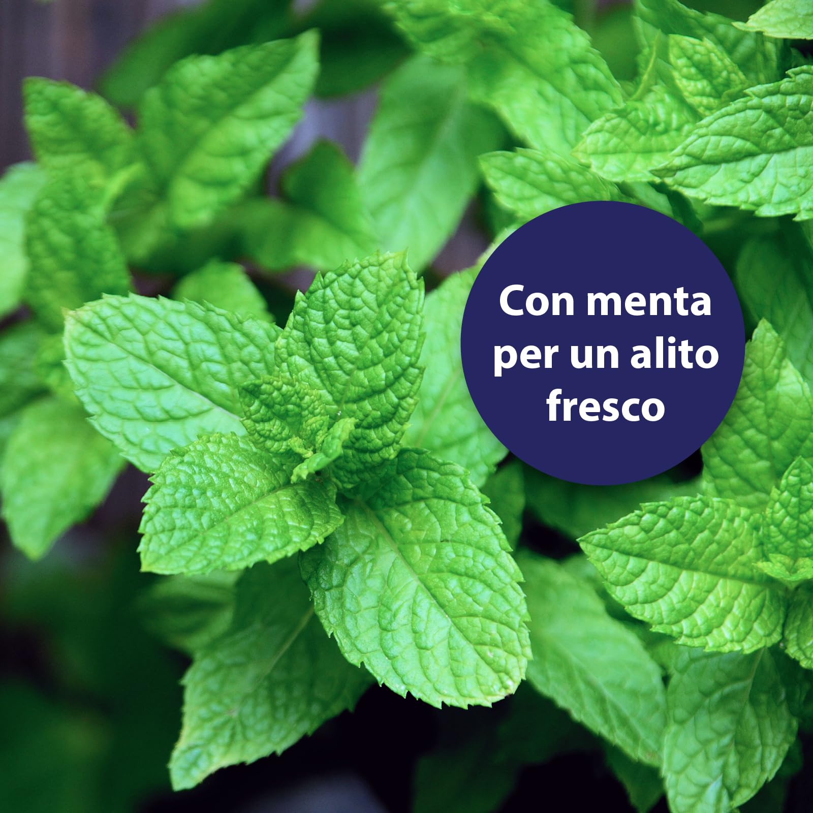 Canosept dentifricio per cani 100g - pulizia denti cane - alitosi cane - cura dentale
