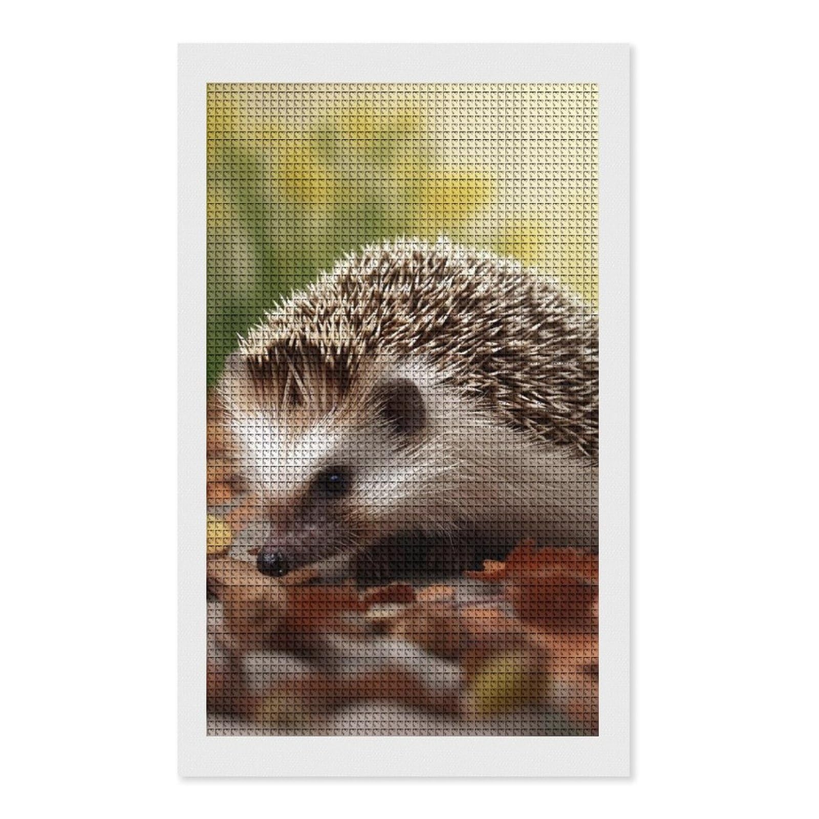 Hedgehog Diamond Art Kits for Adults, DIY 5D Diamonds Painting Kits for Beginner, Round Full Drill Diamond Dots Painting, 12"x20" Diamonds Pictures Gem Art and Crafts Wall Decor