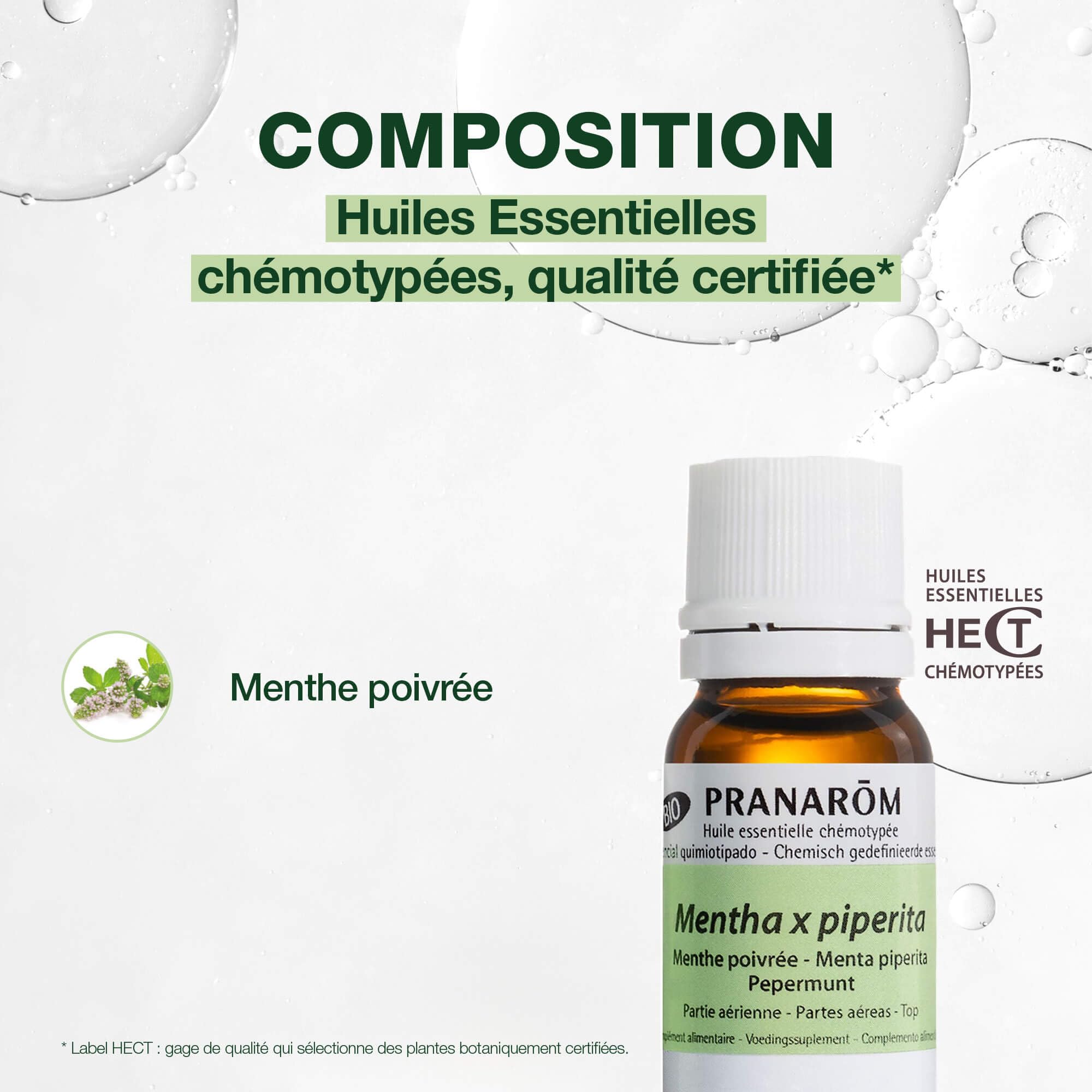 PRANAROM - Menta Piperita Bio -Pack de 3 - Aceite Esencial Quimiotipado - Digestión y Tono - 100% Puro y Natural - HECT - 5ml