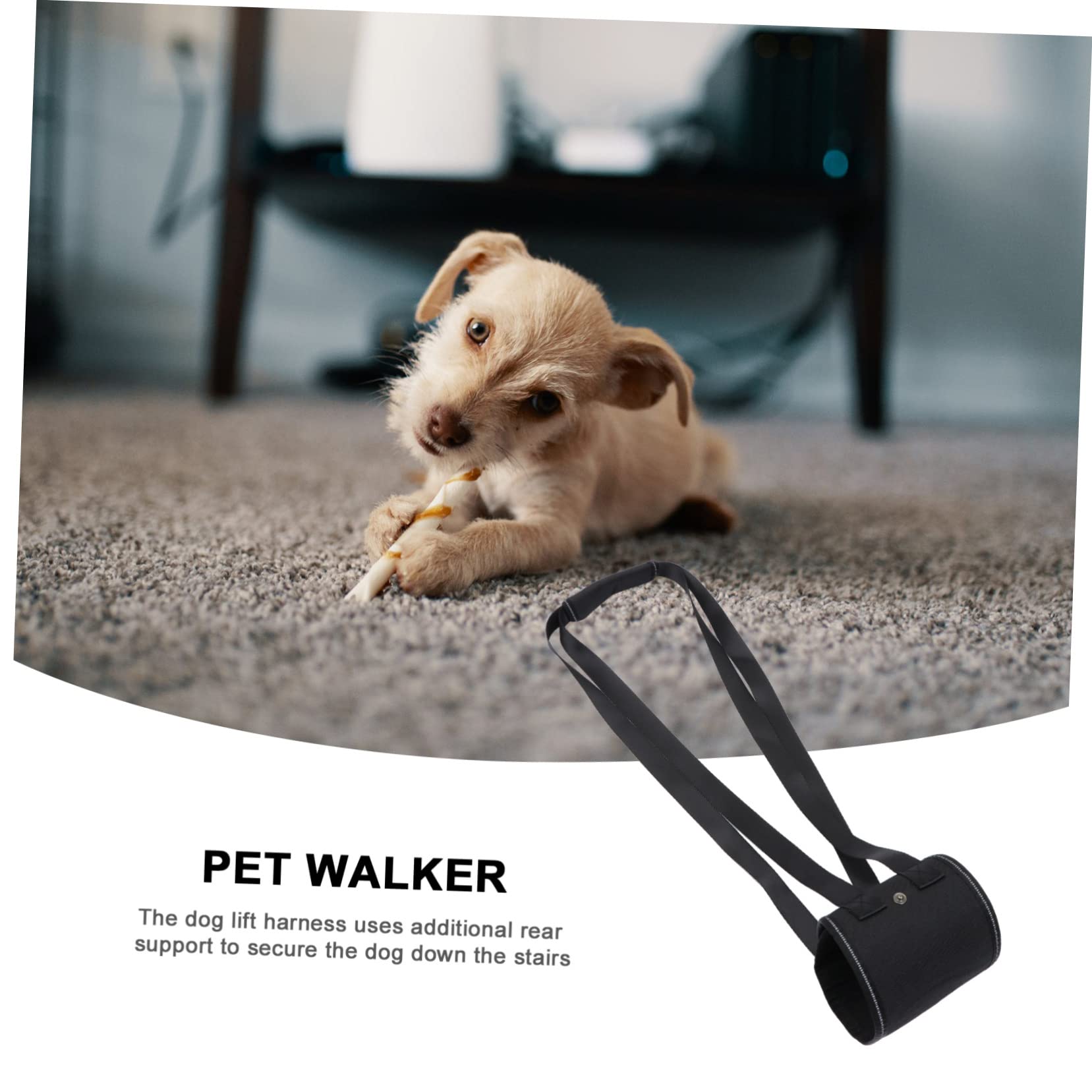 Kisangel 3stücke Portable Dog Support Für Hunde Einstellbares Pet Support Geschirr Für Outdoor Aktivitäten Zur Unterstützung Bei Mobilitätseinschränkungen Und Beim Treppensteigen