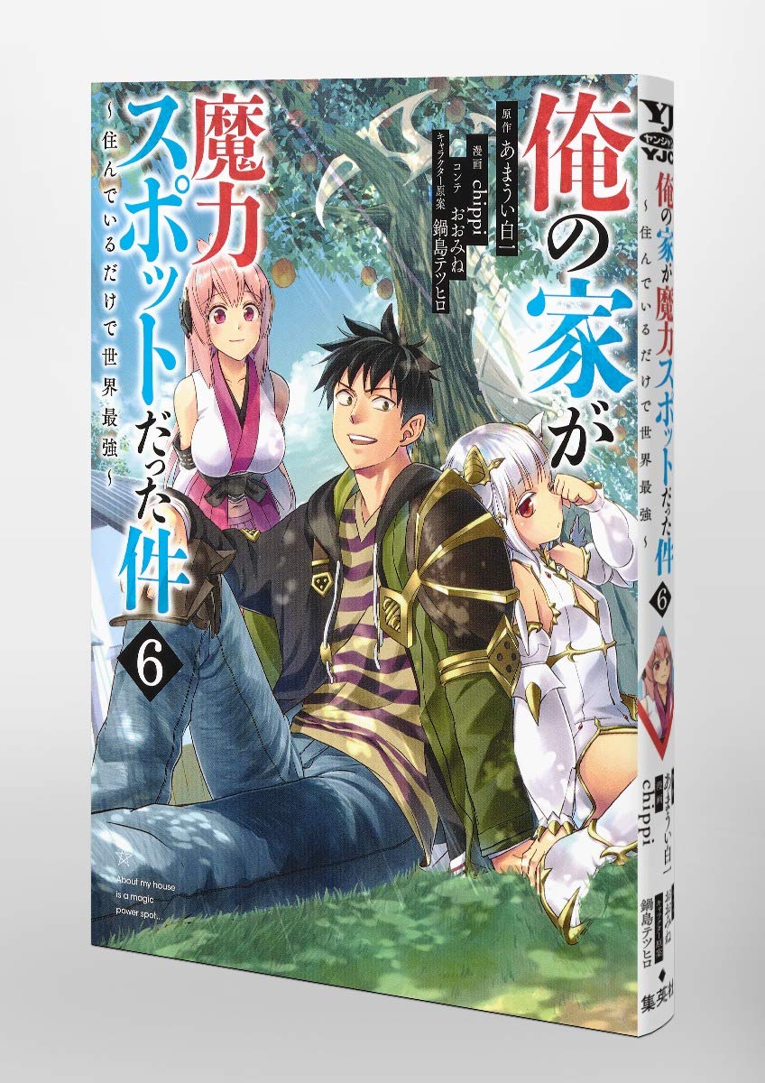 俺の家が魔力スポットだった件 住んでいるだけで世界最強 6 ヤングジャンプコミックス Chippi おおみね 鍋島 テツヒロ あまうい 白一 本 通販 Amazon