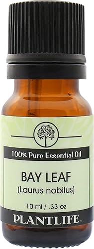 Vista 45 de Plantlife Aceite esencial de aromaterapia de alcaravea, directamente de la planta, 100% puro, grado terapéutico, sin aditivos ni rellenos, 0.3 fl oz