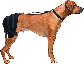 hip hound brace amazon