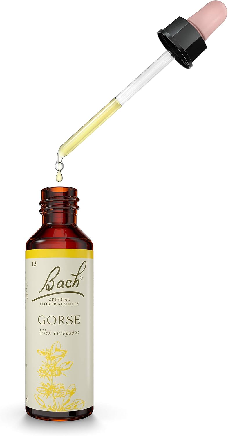 Bach Original Flower Remedies Gorse, Know Your Own Mind, Remain Hopeful, Emotional Wellness, Natural Flower Essence, 20ml - Image 3