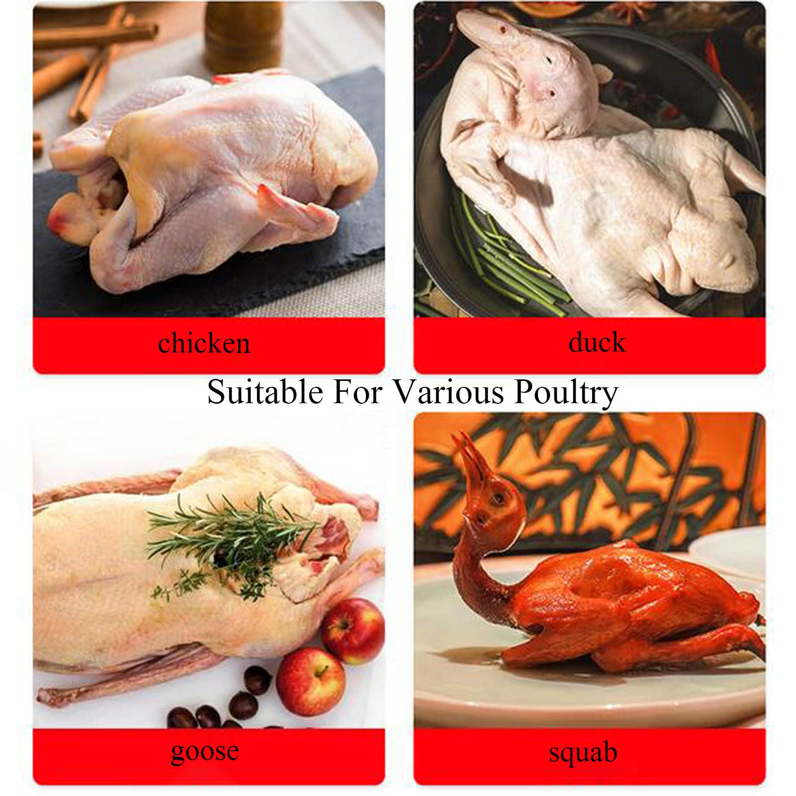 Doigt de plumeuse Poulet Doigt de plumeuse Poulet Doigts plumeuse Doigts plumeuse Doigts pour plumeuse Doigts pour plumeuse Doigt de Caoutchouc pour Machine enlever Les Plumes de Poules