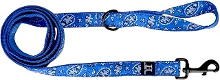 Hamilton 6 ft Nylon Dog Leash, Blue Bandana Ribbon Overlay, SM/MD | Premium Quality Nylon, Tangle Free 360° Swivel Bolt Snap, D-Ring Loop, 5/8" x 6', Small & Medium Breed Dogs