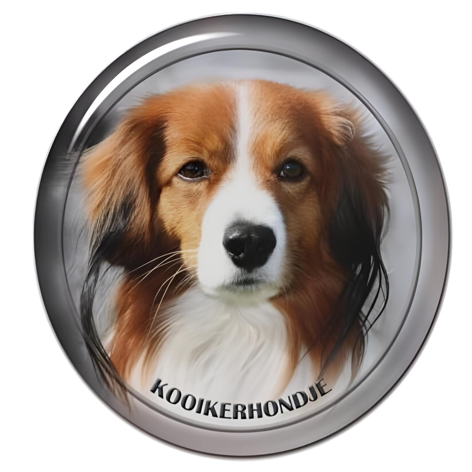 Autoaufkleber Kooikerhondje Aufkleber 18cm(7.1 Inch) Kooikerhondje Dog Car Sticker Lustig Kooikerhondje 3D Zerrissen Reflektierende Autoaufkleber Stoßstange Personalisieren Lustig Dekor