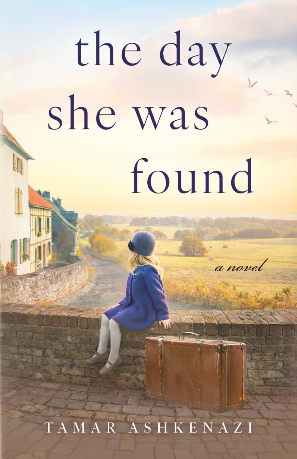 The Day She Was Found: A Novel