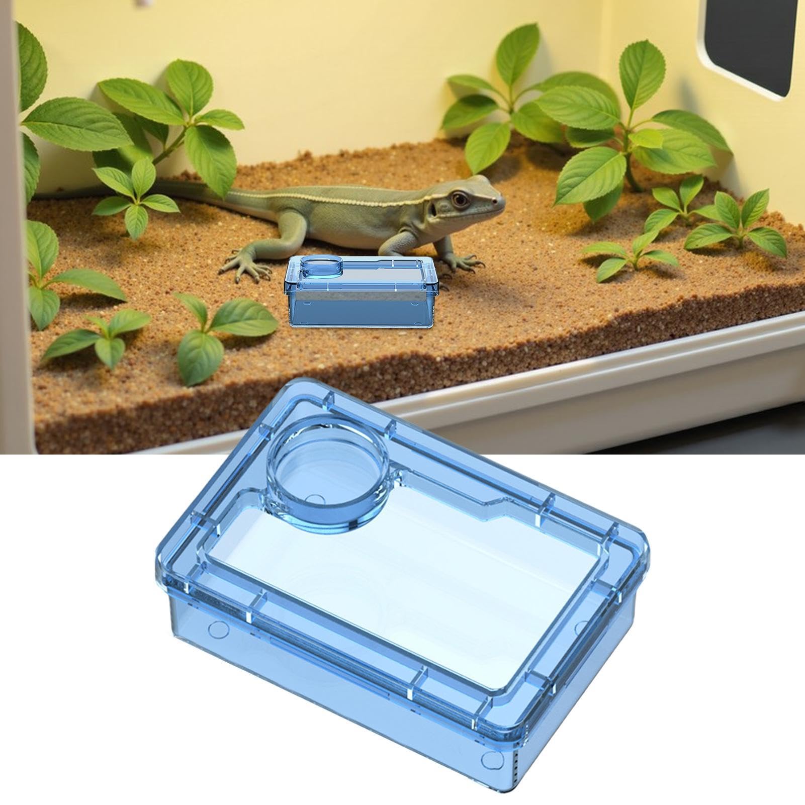 Reptile Water Dish, Anti-Escape Crested Gecko Food Dish, Live Food Feeder Bowl, Mealworm Feeding Container For Habitat Feeding Gecko Chameleon Terrarium Frog Tank Lizard Tortoise Cage Leopard