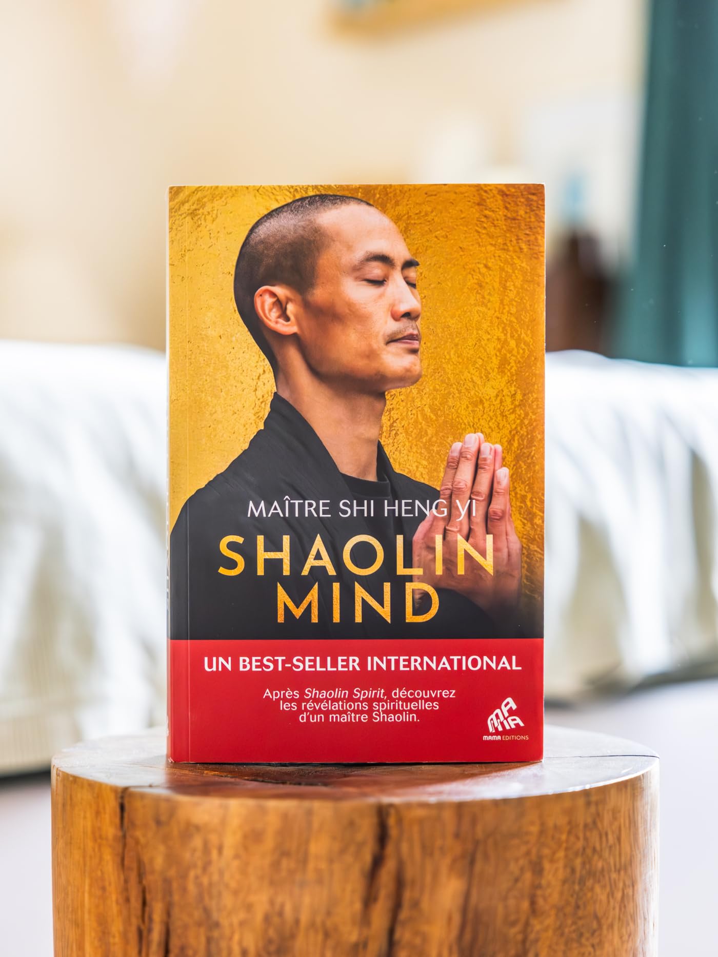 Shaolin Mind: Après Shaolin Spirit, découvrez les révélations spirituelles du grand maître Shaolin.