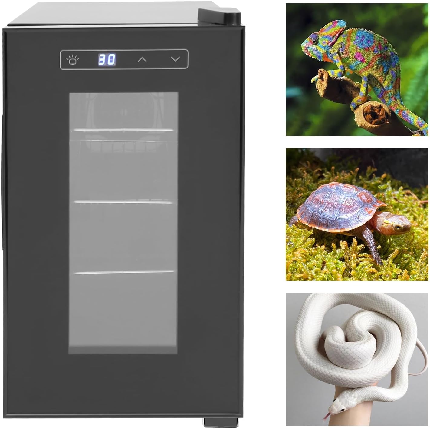 Cabinet Incubators for Hatching Eggs, 23L Scientific Lab Incubator Reptile Egg Incubator for Hatching Chicks, Reptile Incubator Cooling and Heating 10-40°C Temperature Control for Turtle Lizard Snake