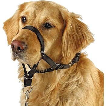 dog anti pull head collar