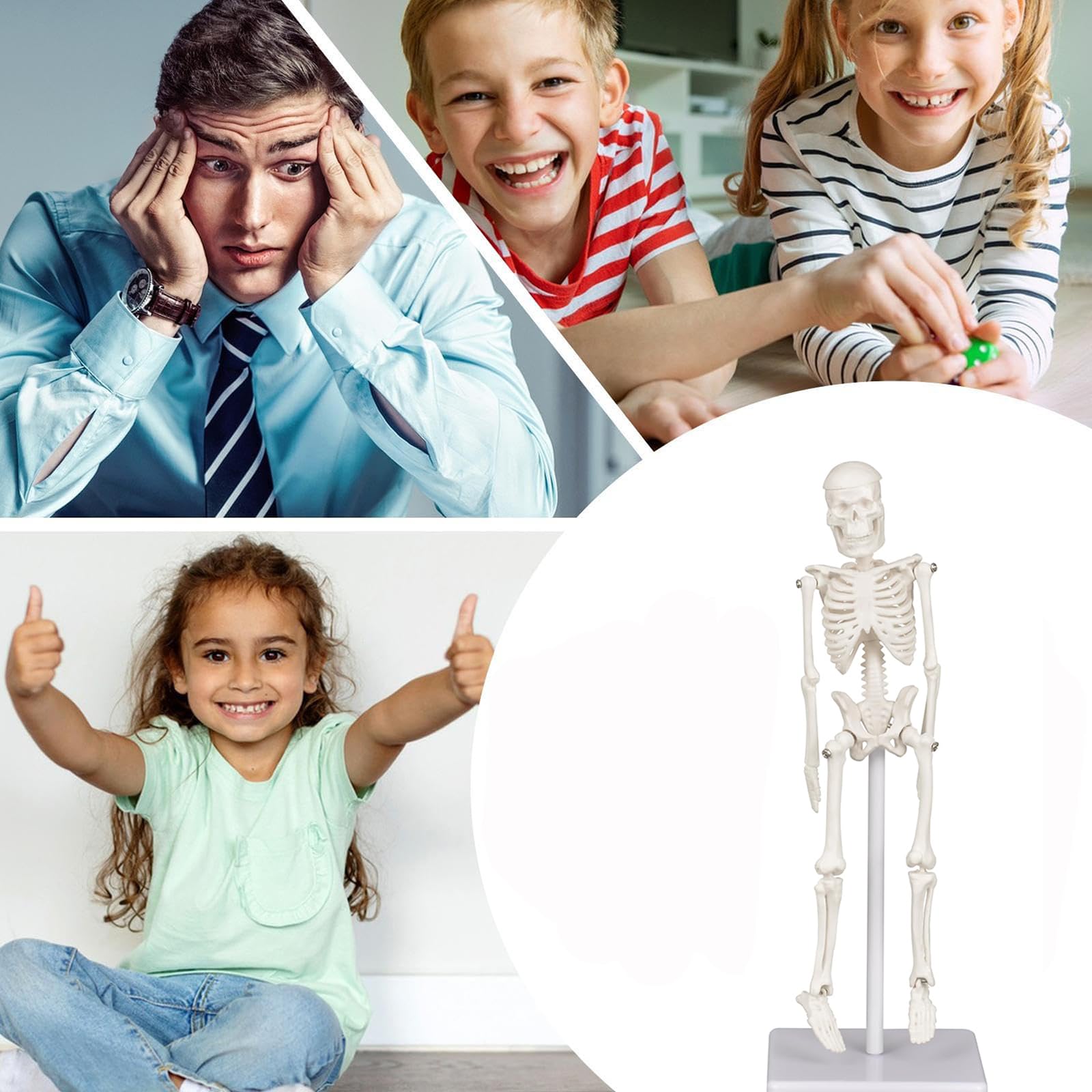 Skeleton Model, Human Anatomy Model for Small Skeleton Model with Movable Joints Ideal for Classroom Office Decor and Decorations(7.8in) - Image 6 thumbnail