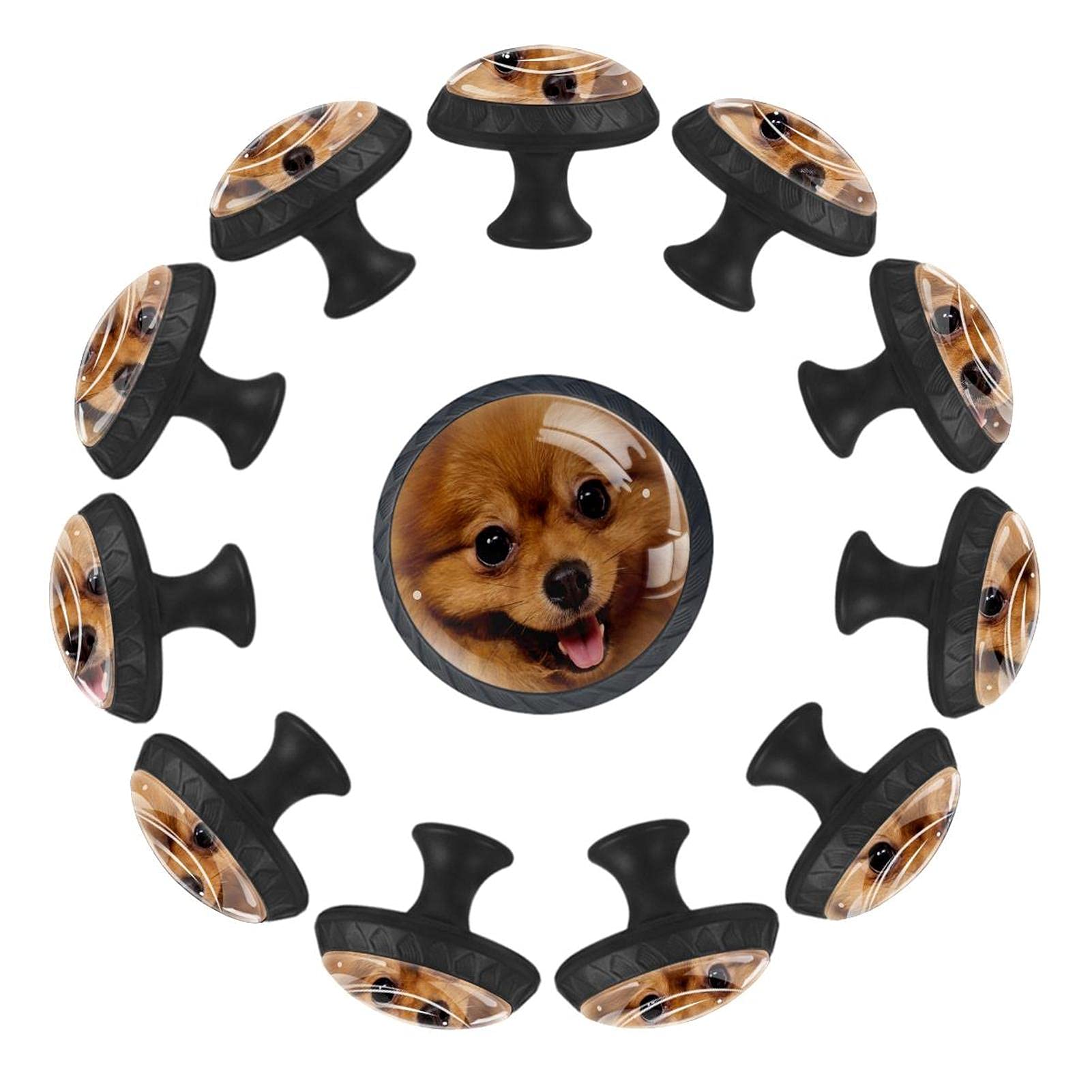 Boutons de tiroir chien Spitz ronds 35 mm au design soigné pour commode et meuble de rangement