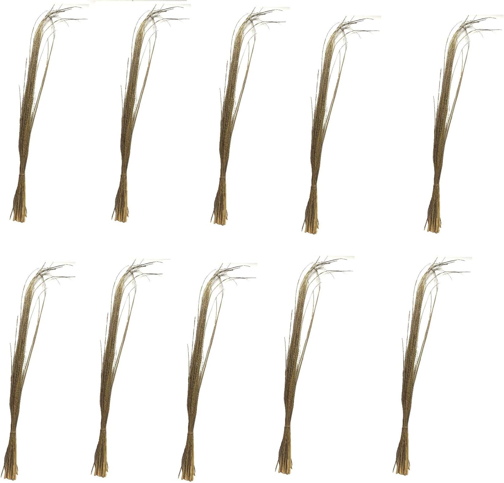 CHEZEL® Darbha Grass or Kusha Grass Dharbha Grass Halfa Grass for Pooja Karma(Brown) (10 boundle)