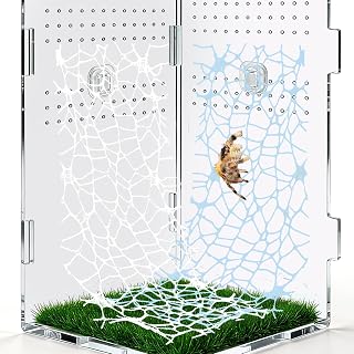 6 PCS Jumping Spider Habitat Accessories - Climbing Web with 9 Mini Hooks for Spiders, Tarantulas and Praying Mantises Enclosures (Blue and Milky White)