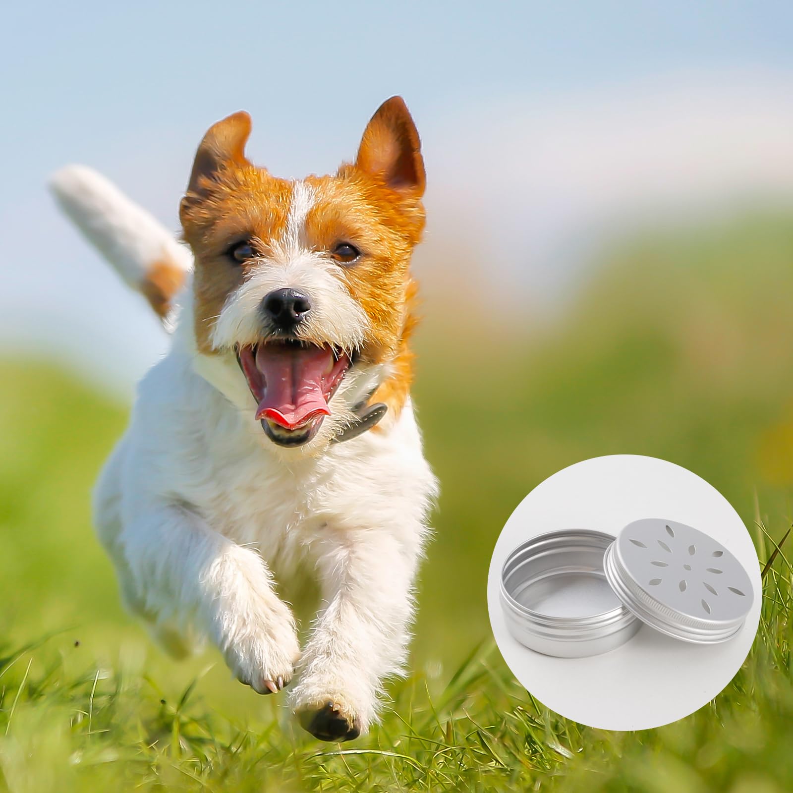 4er Set Hundeduftdosen – Aluminium, Für Nasenarbeit & Suchtraining