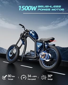 BIGNIU Electric Dirt Bike, Electric Bike for Adults with 1500W Brushless Motor EBike 48V/31.5Ah Up to 40 Miles E-Bike Off-Road Front/Rear Turn Signal Dual Suspension