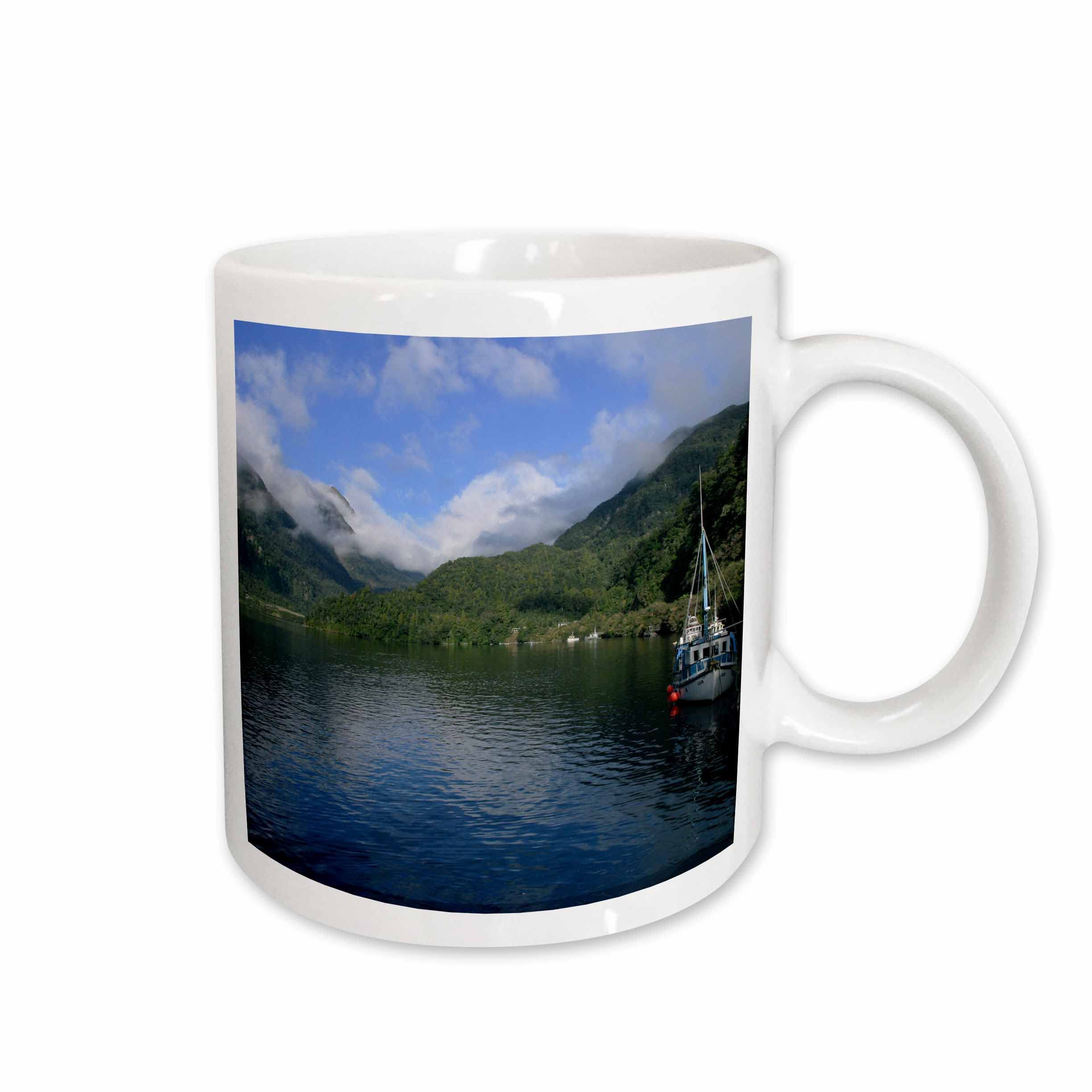 3dRose mug_73958_1 "Doubtful Sound, South Island, New Zealand-AU02 DPB0028 - Douglas Peebles" Ceramic Mug, 11 oz, Multicolor