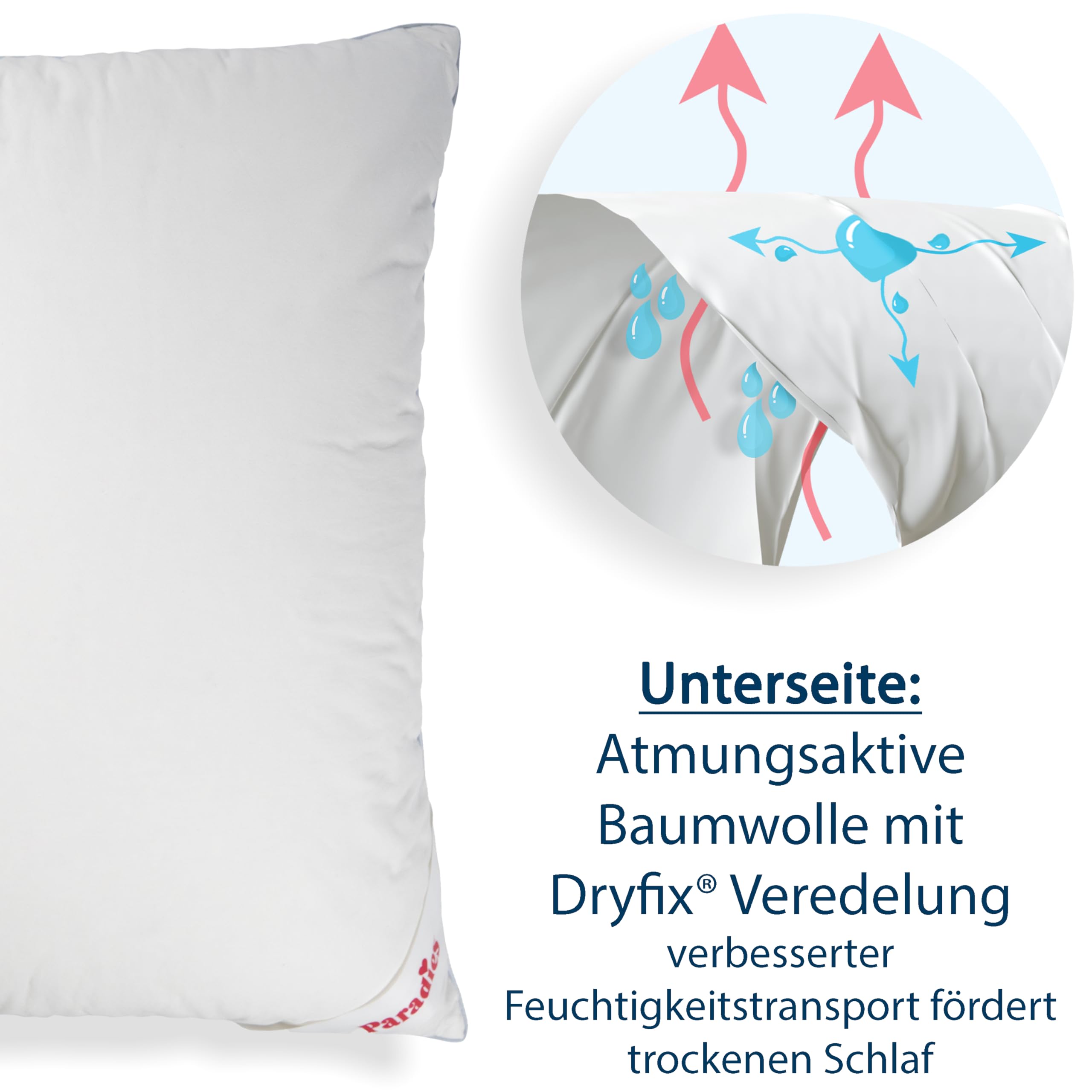 PARADIES kühlendes Kopfkissen 80x80 cm Softy Cool Dream