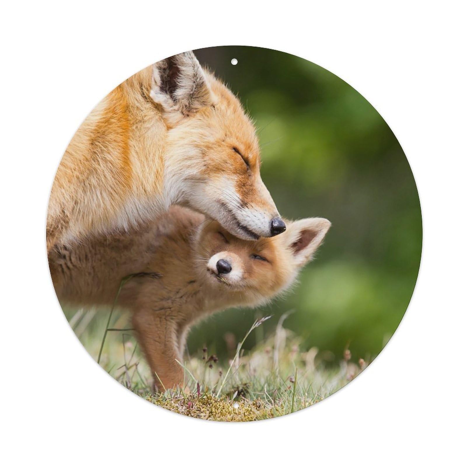 Red Fox Mother Cub Wildlife Forest Vintage Metal Tin Sign