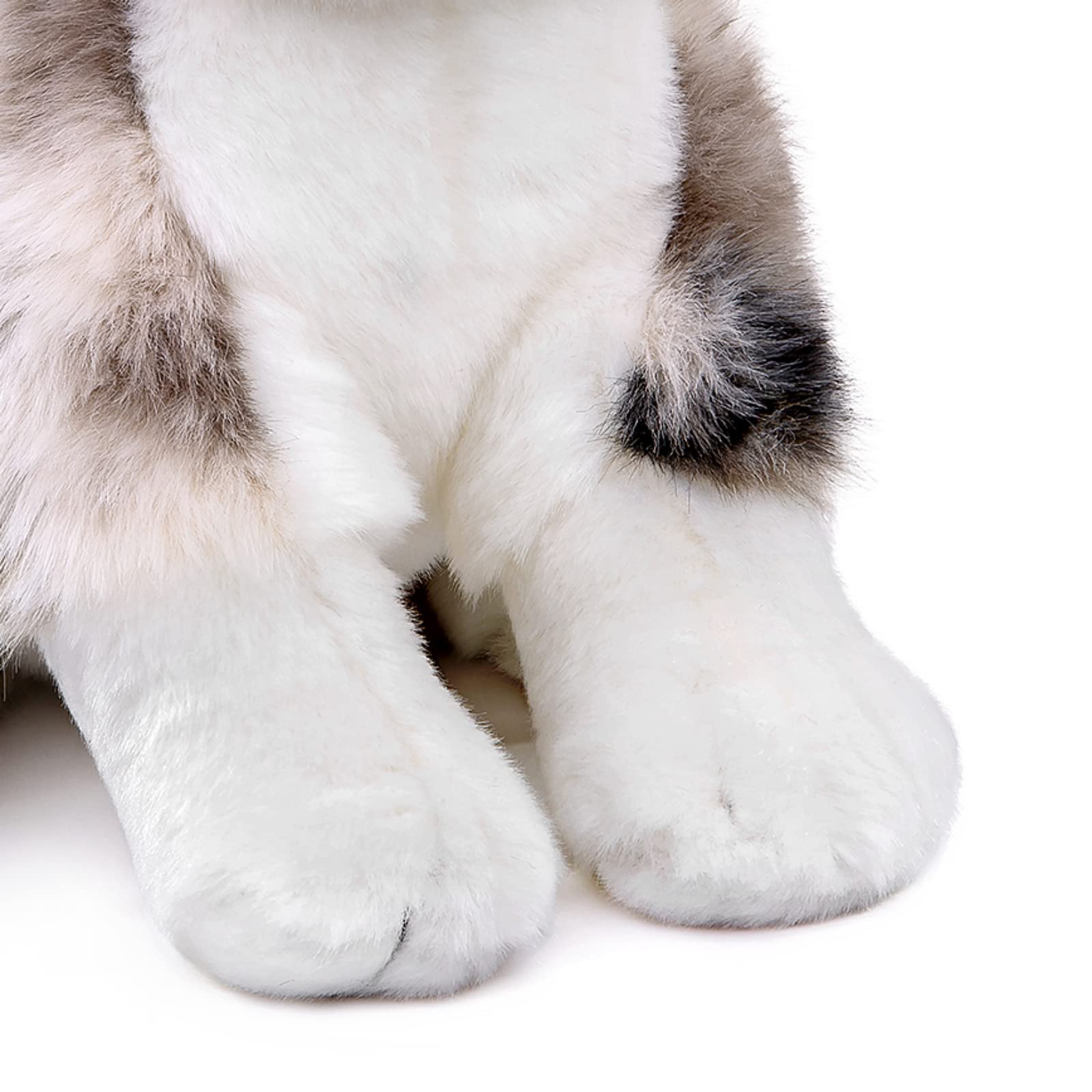 Amazon.co.jp: FRANKIEZHOU オーストラリアンシェパードドッグ