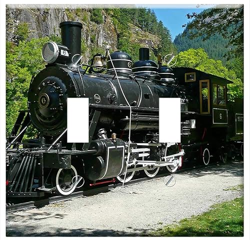 Miniatura 1 de Interruptor Placa Doble Palanca - Locomotora Tren Ferrocarril Viaje Vía Motor Viejo